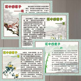 661花中四君子梅兰竹菊简介办公室装饰墙贴画展板素材海报印制822