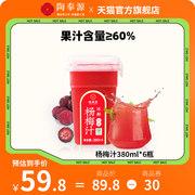 陶奉源冰杨梅汁380ml*6瓶冷冻冰镇果汁饮料果蔬汁饮品整箱酸梅汤