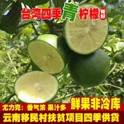 新鲜云南青柠檬水果，小青柠香水四川安岳一点点薄皮奶茶非无籽