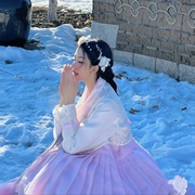 韩服宫廷礼服日常演出传统女士朝鲜民族服装舞台表演出古装超