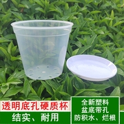 蝴蝶兰种植花盆石斛透明育苗杯圆形硬质塑料透气花盆营养钵兰花杯