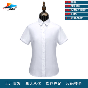 液氨免烫女衬衣qnc3075d白色纯棉，人字纹商务正装，修身翻领短袖衬衫