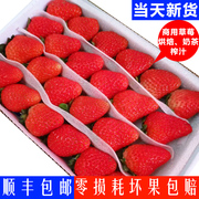 空运新鲜水果草莓供奶茶榨汁蛋糕装饰红颜甜草莓4盒