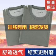 体能服夏季短袖透气速干圆领t恤体能训练服套装男体能服上衣短裤