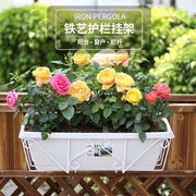 卉美塑料包胶铁艺挂架阳台栏杆花盆花架子园艺用品种花种菜花盆架