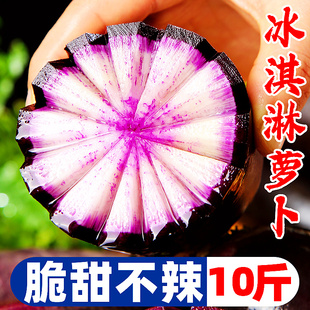 正宗山东潍坊冰淇淋水果萝卜紫美人新鲜生吃的甜脆水果型潍县特产