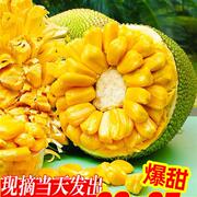 海南三亚黄肉菠萝蜜一整个新鲜孕妇水果，当季木波罗蜜40斤整箱