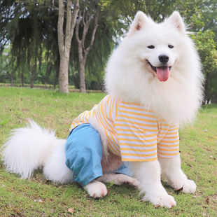 狗狗衣服萨摩耶衣服帅气拉布拉多，金毛夏季四脚，衣中大型犬夏天薄款