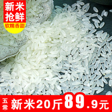 21年正宗五常大米稻花香2号东北长粒香大米10kg20斤新米