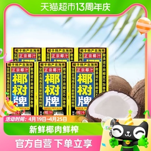 椰树椰奶正宗椰树牌，植物蛋白饮料椰汁，245ml×6盒