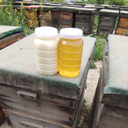 二斤装纯正天然野生山花百花蜂蜜油菜结晶蜂蜜1000g原蜜农家自产