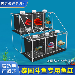 斗鱼专用鱼缸亚克力板陈列架多格生态缸家用水族箱过滤桌面小鱼缸