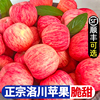 洛川苹果红富士水果新鲜当季整箱10斤延安，特产一级应季萍果