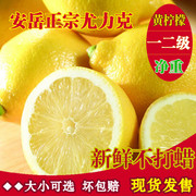 安岳黄柠檬(黄柠檬)新鲜水果，皮薄多汁一二级果净重不打蜡非香水青柠檬