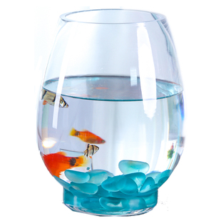 办公室小鱼缸加厚透明玻璃乌龟，缸客厅家用桌面圆形，迷你小型金鱼缸(金鱼缸)