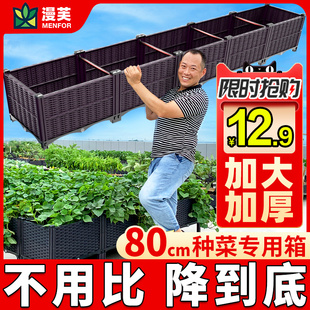 种植箱家庭阳台蔬菜专用菜盆种菜神器楼顶长方形，塑料花盆特大花箱