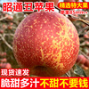 云南昭通冰糖心丑苹果10斤水果新鲜当季整箱红富士苹果脆甜