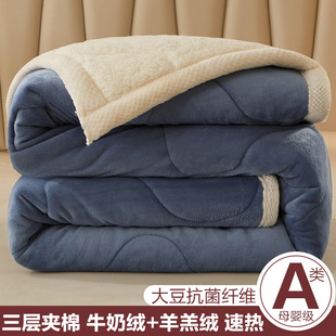 冬天珊瑚绒毛毯被子，加厚冬季羊羔牛奶绒盖毯子，床上用披肩午睡单人