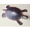 儿童益智DIY立体手工制作仿真爬行两栖动物大乌龟3D纸质模型玩具