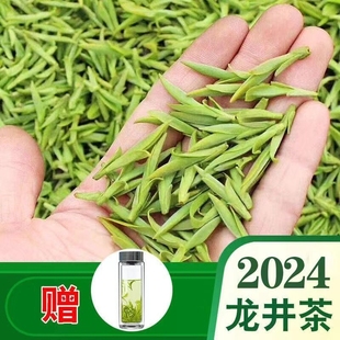 龙井绿茶2024雨前新茶手，工头采嫩芽，耐泡特级茶叶250g一斤明前一级