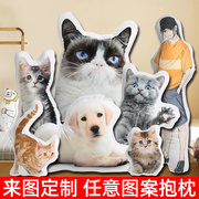 高档宠物抱枕diy定制猫咪狗狗枕头可印照片，来图人形仿真异形