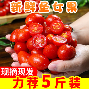 新鲜圣女果5斤小番茄蔬菜水果，西红柿生吃3斤樱桃玉女1斤