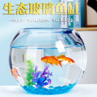 办公桌玻璃鱼缸金鱼缸水族箱客厅小型桌面乌龟缸透明圆形家用造景