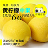 黄柠檬 1箱 新鲜四川安岳柠檬 农猫庄园深圳水果果汁奶茶烘培沙拉