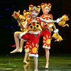六一儿童男女小老虎演出服幼儿园，虎娃娃喜庆动卡通物舞蹈表演服装