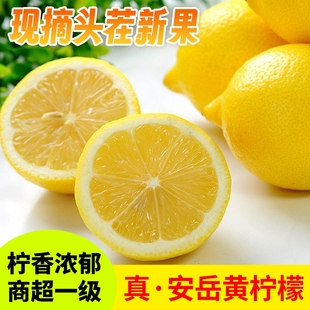 四川真安岳黄柠檬(黄柠檬，)3斤当季新鲜水果泡饮薄皮，香水鲜甜柠檬生鲜