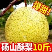 正宗砀山梨酥梨10斤现摘梨子香甜雪梨应季水果梨新鲜整箱10斤大梨