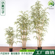 仿真竹子盆栽仿真绿植人造竹子，迷你竹假竹子盆景仿真富贵竹