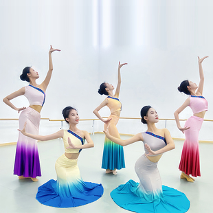 傣族舞蹈演出服装表演服孔雀舞鱼尾裙傣族练习服装女舞裙艺考服装