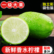 广西香水柠檬10斤新鲜现摘应当季水果青柠檬，奶茶店专用5