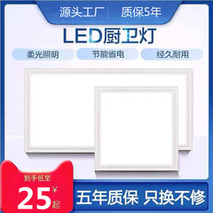 厨卫灯集成吊顶灯30x30嵌入式30x60广东中山佛山灯具灯饰