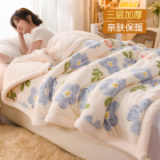毛毯加厚冬季盖毯牛奶珊瑚绒毯子床上用法兰羊羔被超厚铺床单冬天