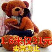 1.8米泰迪熊2米1.6米瞌睡熊，1.2米毛绒玩具布娃娃抱抱熊