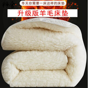 可铮舍成人定制床垫 冬季加厚羊毛保暖床褥子垫被学生18双人