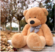 韩国恋人林嘉欣大抱熊泰迪熊抱抱熊毛绒，玩具公仔