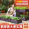 种植箱种菜神器盆，专用箱蔬菜家用盆塑料，长方形阳台楼顶花箱花盆