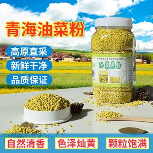 2023青海油菜花粉蜂花粉新鲜天然可食用装速发天然纯油菜花粉