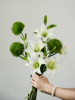仿真植物百合天鹅绒，和卢卡石竹铃兰花，假花软装饰品搭配插花素材