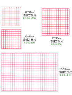 面积测量器透明小方格1cm0.5cm小格子小学数学，几何不规则图形估算面积，教学仪器教学具方格纸15cm10cm20cm30cm