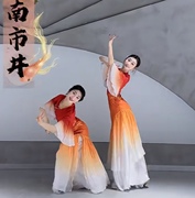 鲤美人女中国花朵旗袍披帛意古典舞舞蹈服古典舞舞红裙服飘逸