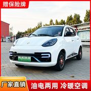 2024四轮电动车家用老头乐代步车油电两用女士汽车4电瓶轿车