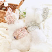 「lazypet」韩国宠物猫，狗碎花荷叶，花边吊带露脐上衣蕾丝帽子