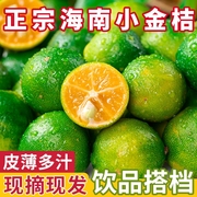 海南小金桔金橘新鲜青柠檬，青柑应当季水果整箱，5斤奶茶店专用鲜果