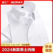 2024男士纯棉白衬衫商务，短袖正装衬衣，中青年职业免烫修身衬衫