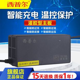 西普尔电动车铅酸，电瓶充电器72v30ah48v40ah60v50ah48v45ah96v20a