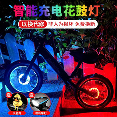 自行车夜骑风火轮闪光车灯夜行车轮装饰尾灯骑行儿童平衡车花鼓灯